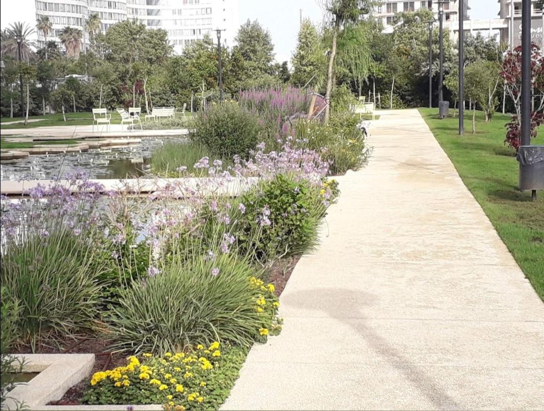 Bat Yam Luxery 5Br Sea View Suite Bagian luar foto